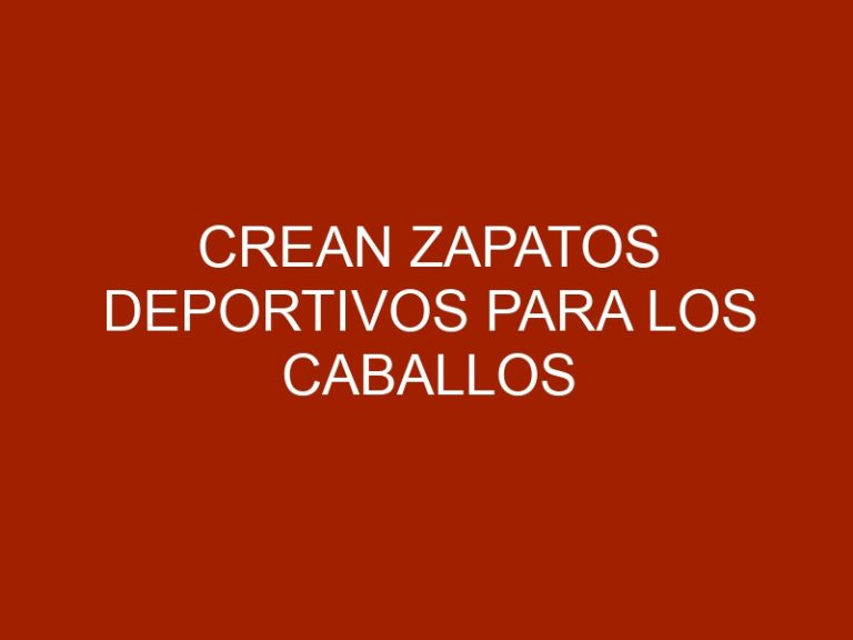 Crean zapatos deportivos para los caballos