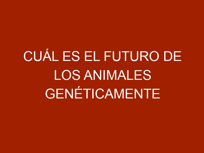 Cuál es el futuro de los animales genéticamente modificados