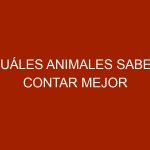 Cuáles animales saben contar mejor