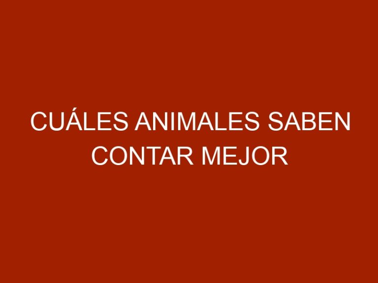 Cuáles animales saben contar mejor