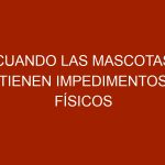 Cuando las mascotas tienen impedimentos físicos