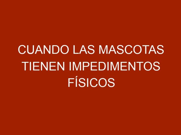 Cuando las mascotas tienen impedimentos físicos