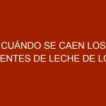 Cuándo se caen los dientes de leche de los cachorros