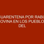 Cuarentena por rabia bovina en los pueblos del Sur de Mérida