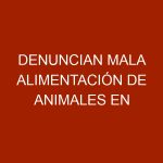 Denuncian mala alimentación de animales en zoológicos de Inparques