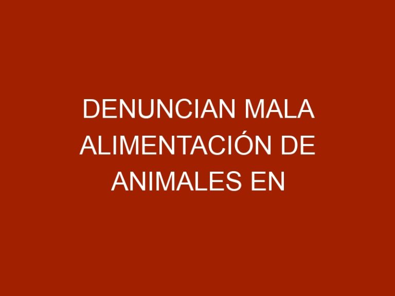 Denuncian mala alimentación de animales en zoológicos de Inparques