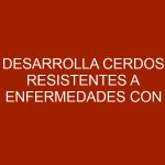Desarrolla cerdos resistentes a enfermedades con tecnología de edición genética