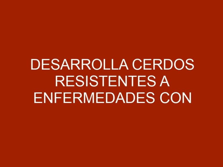 Desarrolla cerdos resistentes a enfermedades con tecnología de edición genética