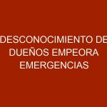 Desconocimiento de dueños empeora emergencias médicas en mascotas