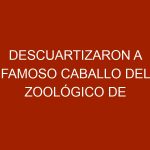 Descuartizaron a famoso caballo del Zoológico de Caricuao por su carne