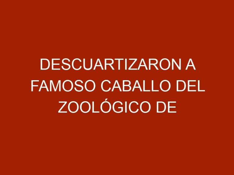 Descuartizaron a famoso caballo del Zoológico de Caricuao por su carne