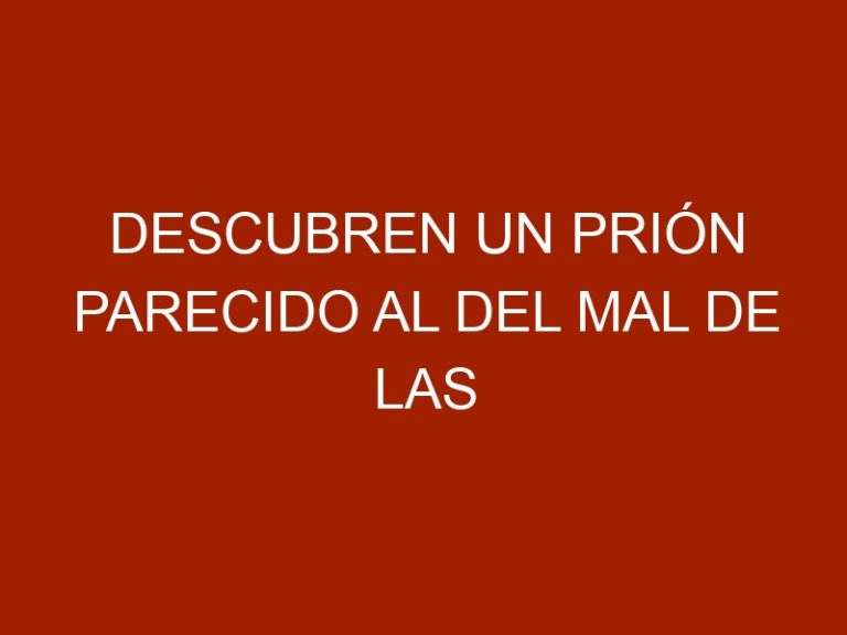 Descubren un prión parecido al del mal de las vacas locas