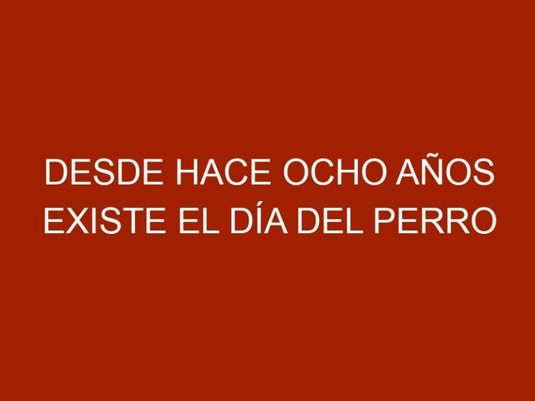 Desde hace ocho años existe el Día del Perro Callejero