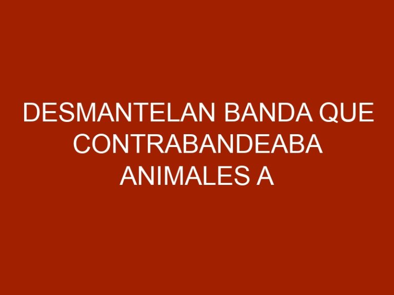 Desmantelan banda que contrabandeaba animales a Colombia