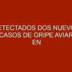 Detectados dos nuevos casos de gripe aviar en Francia