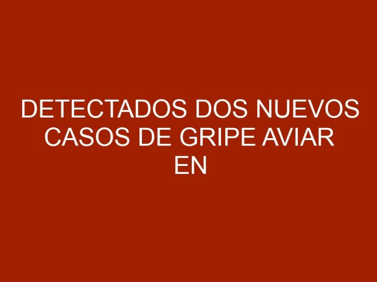 Detectados dos nuevos casos de gripe aviar en Francia