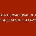 Día Internacional de la Vida Silvestre, a Favor de la Fauna y Flora Amenazada