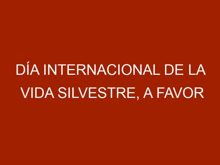 Día Internacional de la Vida Silvestre, a Favor de la Fauna y Flora Amenazada