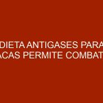 Dieta antigases para vacas permite combatir calentamiento global