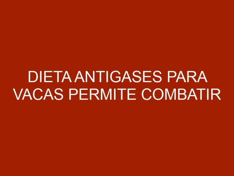 Dieta antigases para vacas permite combatir calentamiento global