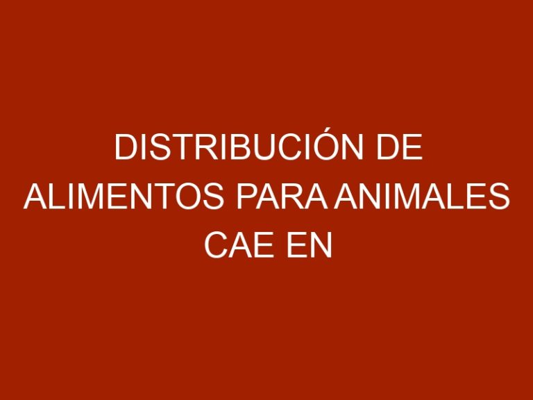Distribución de alimentos para animales cae en 70%