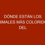 Dónde están los animales más coloridos del mundo
