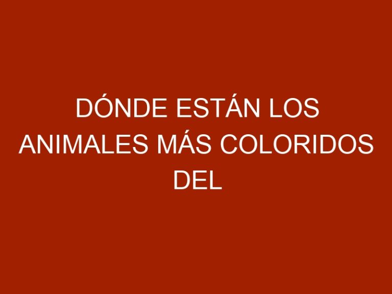 Dónde están los animales más coloridos del mundo
