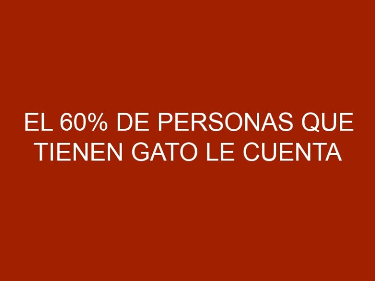 El 60% de personas que tienen gato le cuenta confidencias