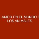 El amor en el mundo de los animales