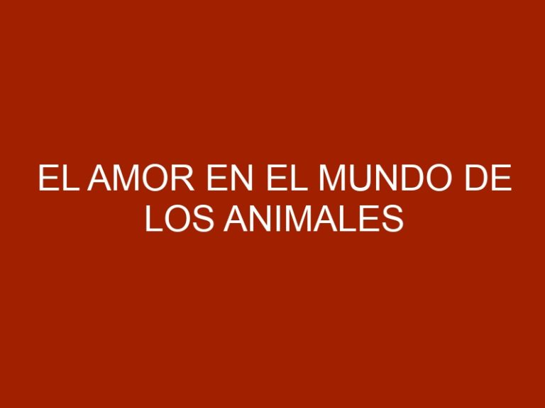 El amor en el mundo de los animales