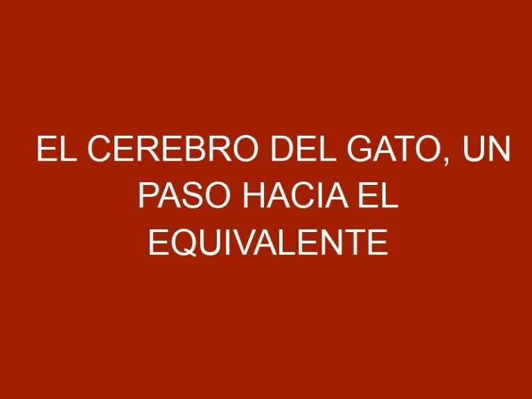 El cerebro del gato, un paso hacia el equivalente electrónico
