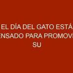 El Día del Gato está pensado para promover su bienestar