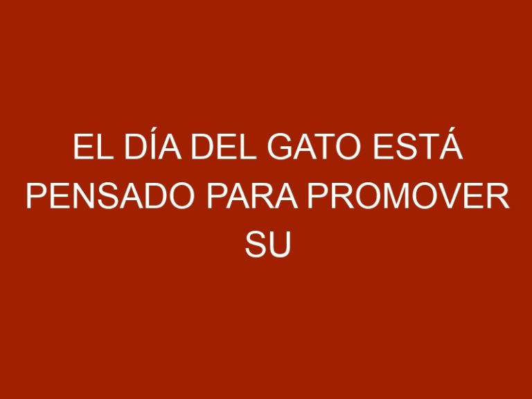 El Día del Gato está pensado para promover su bienestar