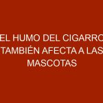 El humo del cigarro también afecta a las mascotas