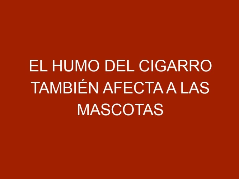 El humo del cigarro también afecta a las mascotas