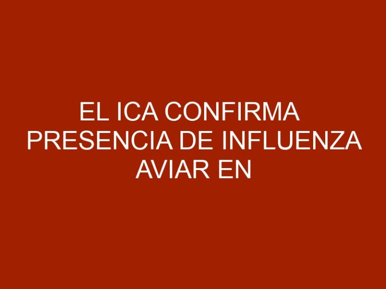 El ICA confirma presencia de influenza aviar en aves de traspatio en el municipio de Ponedera, en Atlántico
