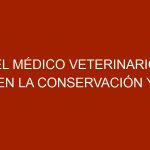 El Médico Veterinario en la Conservación y Salud de la Fauna Silvestre y los Ecosistemas