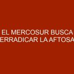 El Mercosur busca erradicar la aftosa