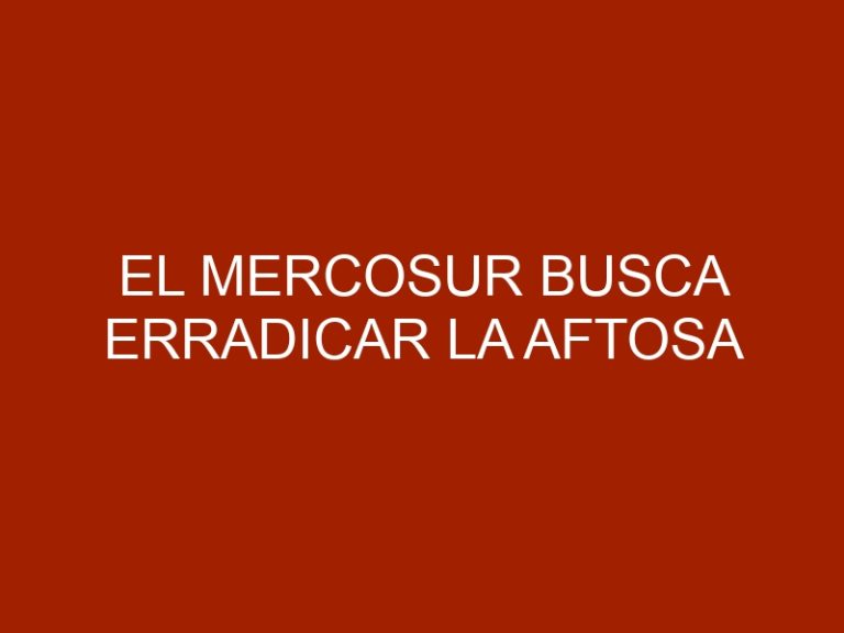 El Mercosur busca erradicar la aftosa