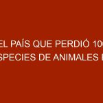 El país que perdió 100 especies de animales en solo 10 años