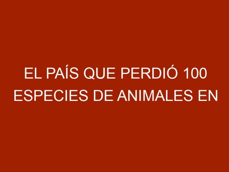 El país que perdió 100 especies de animales en solo 10 años