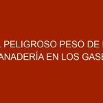 El peligroso peso de la ganadería en los gases invernadero