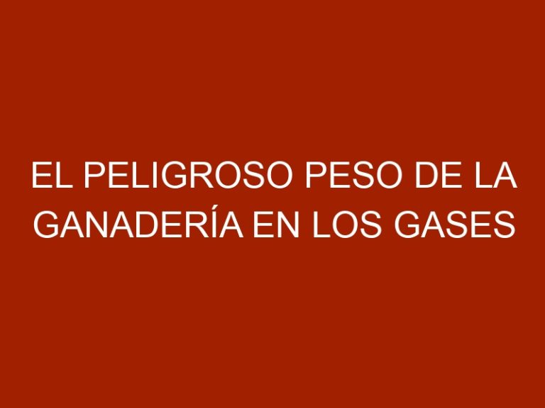 El peligroso peso de la ganadería en los gases invernadero