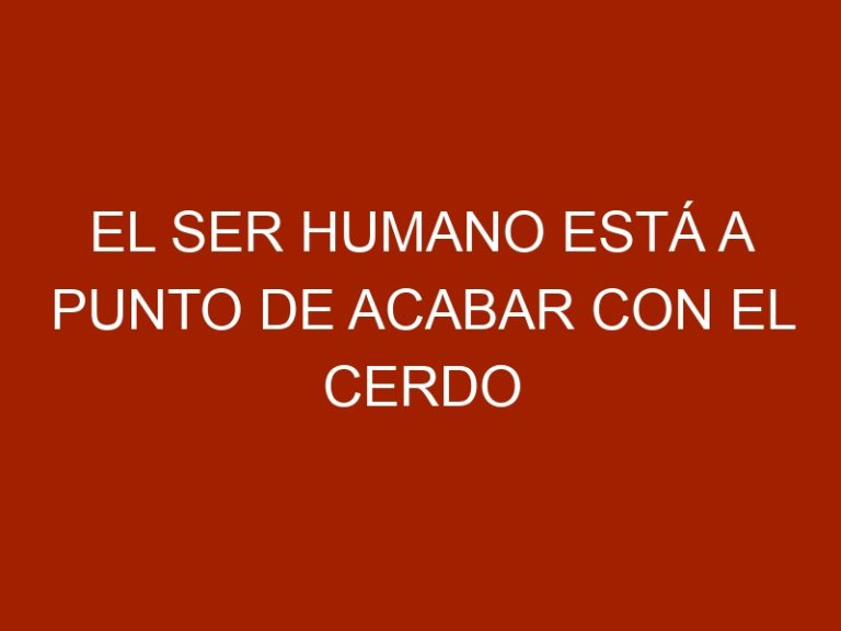 El ser humano está a punto de acabar con el cerdo