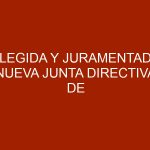 Elegida y Juramentada nueva junta directiva de AVISA