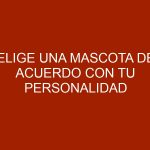 Elige una mascota de acuerdo con tu personalidad