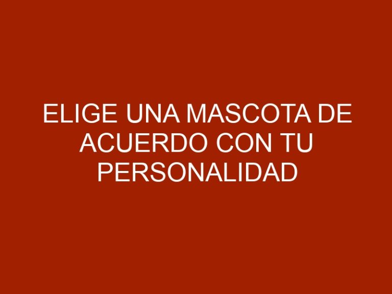 Elige una mascota de acuerdo con tu personalidad