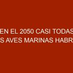 En el 2050 casi todas las aves marinas habrán ingerido plástico