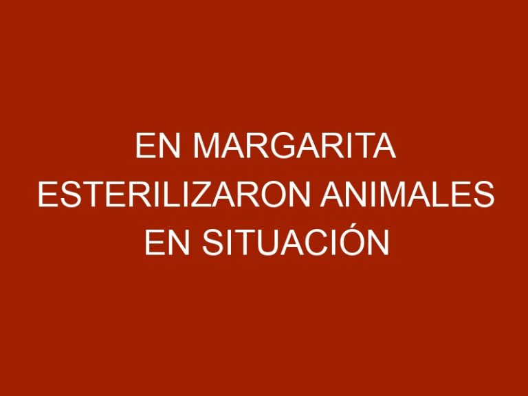 En Margarita esterilizaron animales en situación de calle