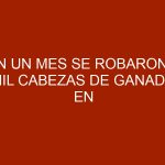 En un mes se robaron 8 mil cabezas de ganado en Venezuela